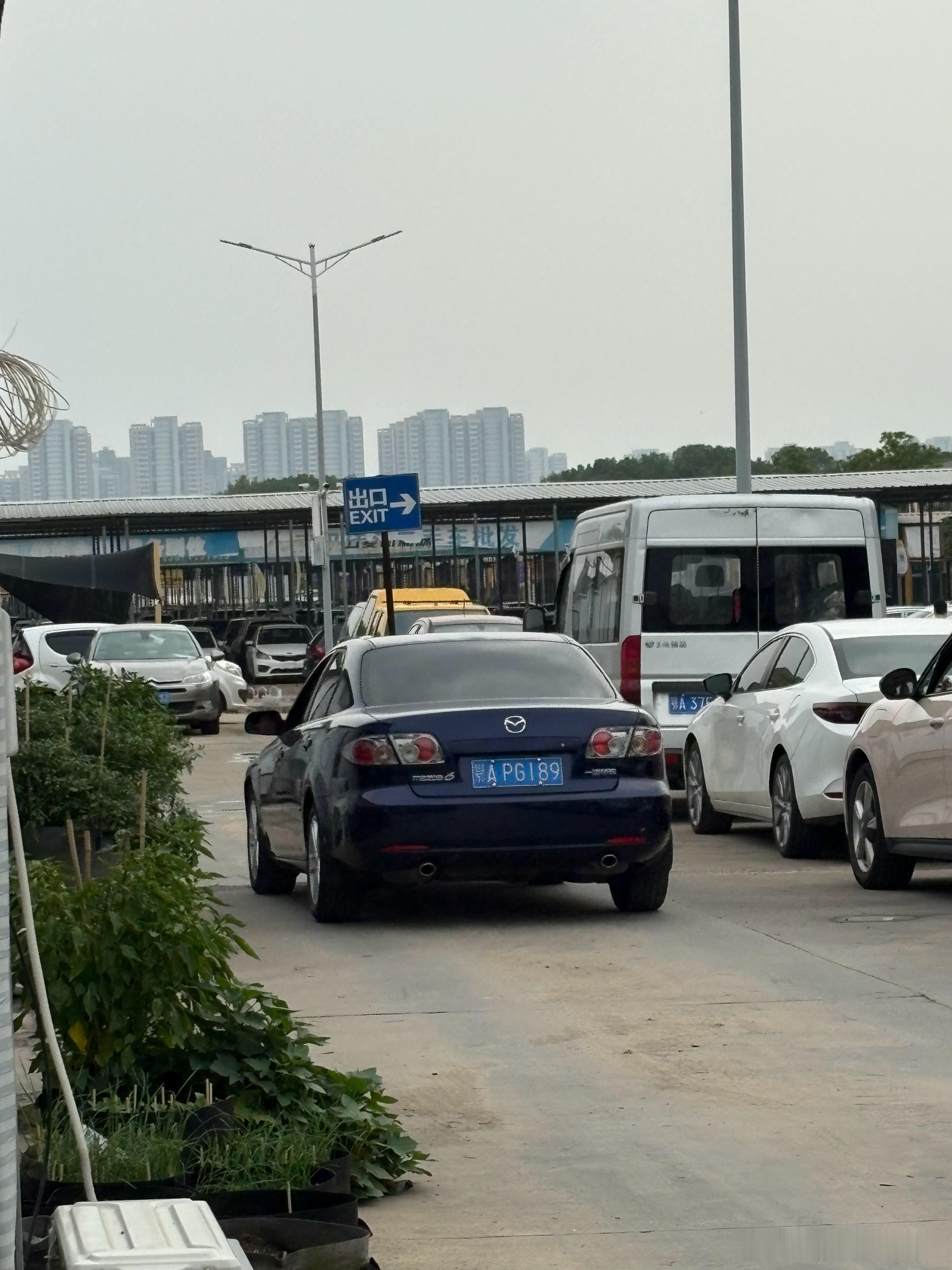 天下武功唯快不破 极品马6 已售🛫本地好大哥看车三分钟直接开走了  ​​​