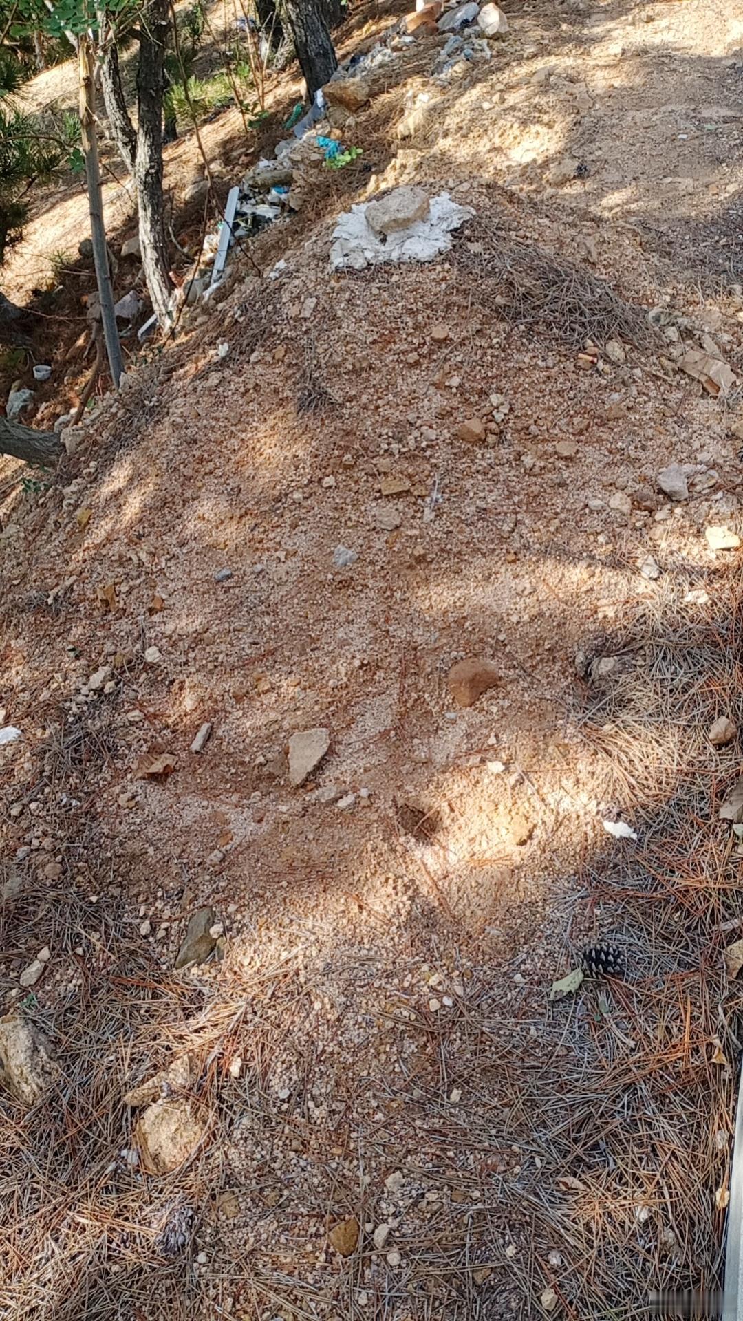 #理记质疑江歌妈妈诈捐# 当地人已找到黄福显老人坟头，无墓碑，一般人找不到，无新