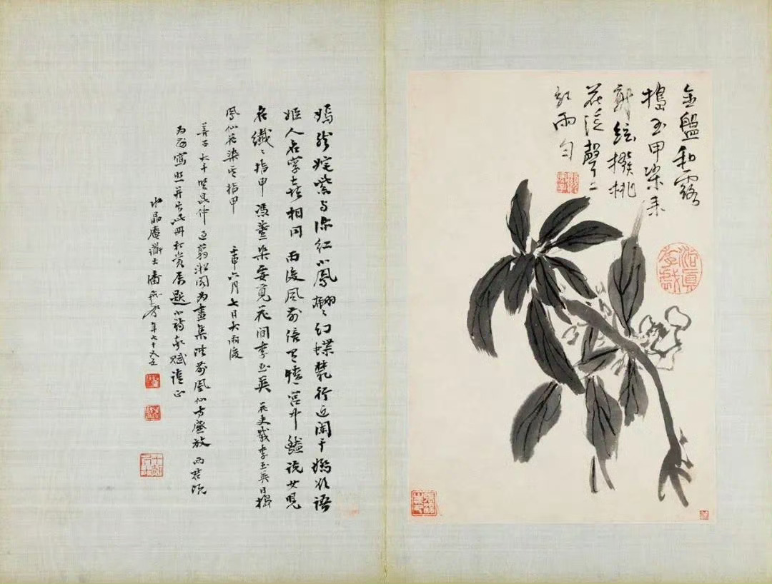 颠道人·花卉逸品册十二开颠道人在历史上没有什么记载，根据考究，他大概跟石涛（16
