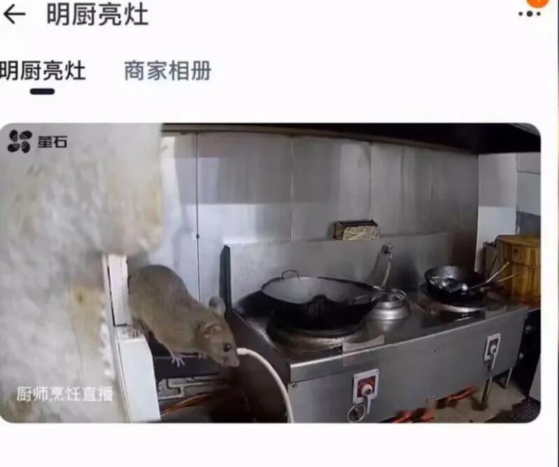 鼠鼠啊，可以在镜头面前比个耶了