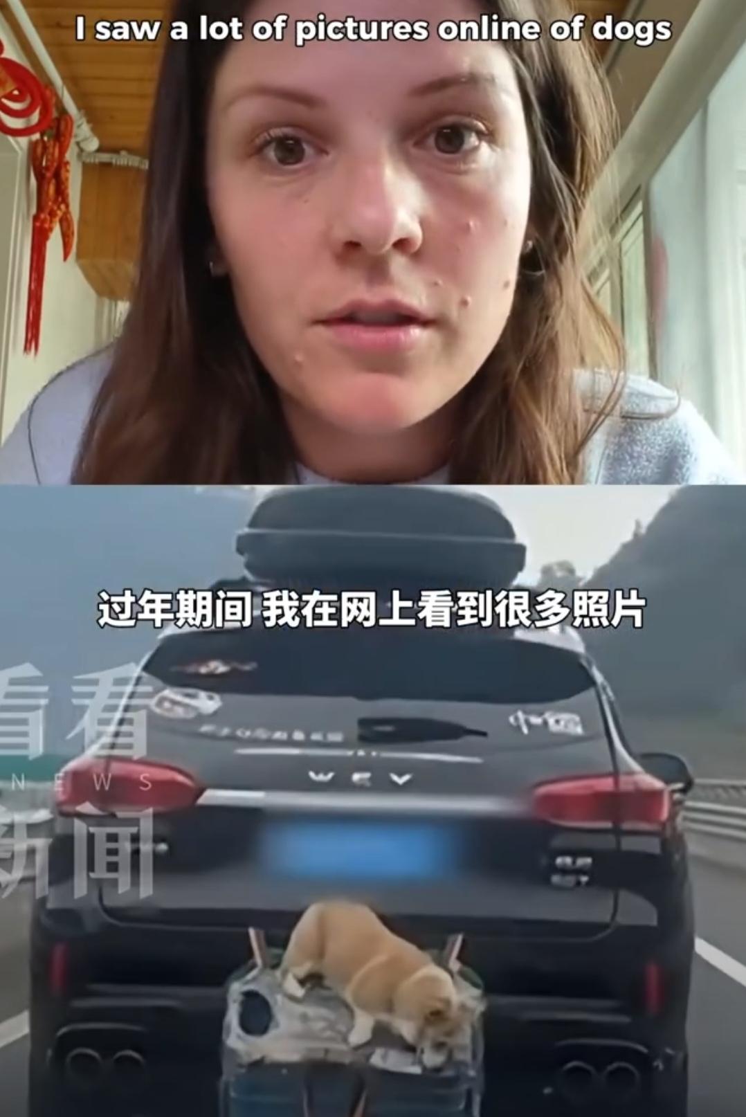 一位外国女士发视频，对某些中国人返乡过年时携带狗狗的方式表示不理解，她认为这非常