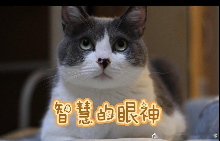 嫣然医院负责人最新发声在成本高企的今天，真没必要固守高昂的场地费用。完全可以换一