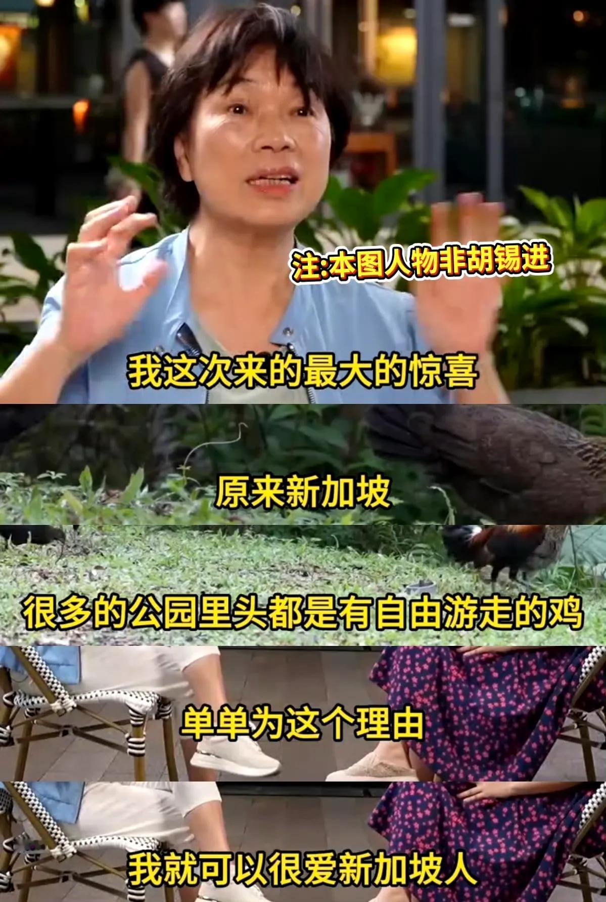 龙应台，这人大家都知道吧，以前写过一篇特招骂的文章，叫《幸好我不是新加坡人》。她