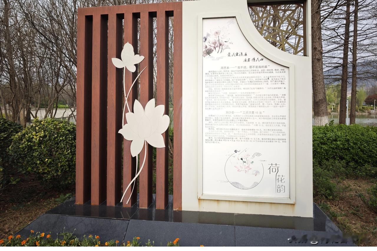 四月的花，那叫一个美！江西上饶广丰区大南镇辰耀中华木绣球博览园，几十万株木绣球迎