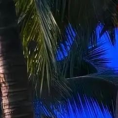 "𝓇𝑒𝓁𝒶𝓍𓇢"快乐无需截止日𓏸 瘫成云朵也合理☁️𓍯人生会有高