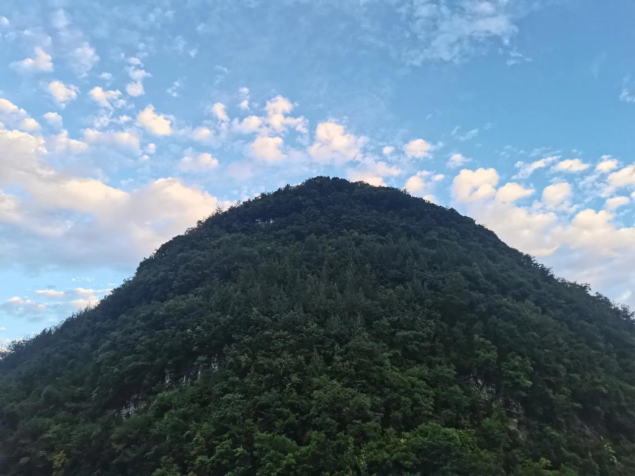 又是在睡梦中醒来。梦中，爬我家后山，在密林中钻来钻去，怎么也找不到回家的路。
梦