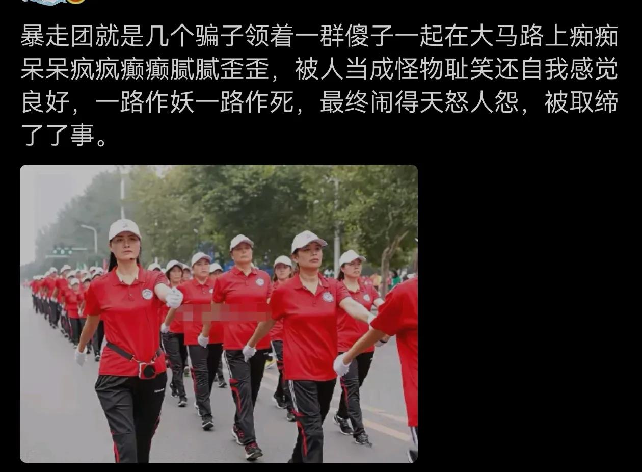 据说暴走团发起者和组织者，是当成生意来做的，那些团员就像传销人员一样，交团费、一