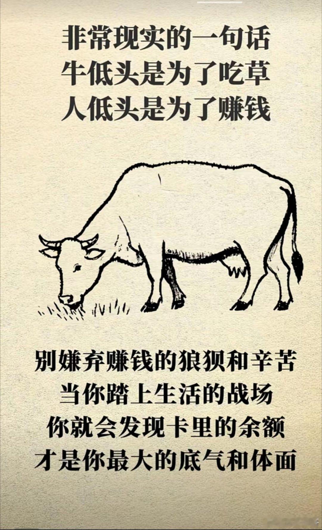 你不努力谁也给不了你想要的生活 ​​​