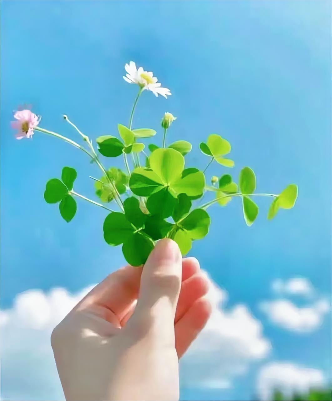 元气满满的一天开始啦！可别浪费这大好时光。别老念着过去的糟心事，也别怕未来有啥坎