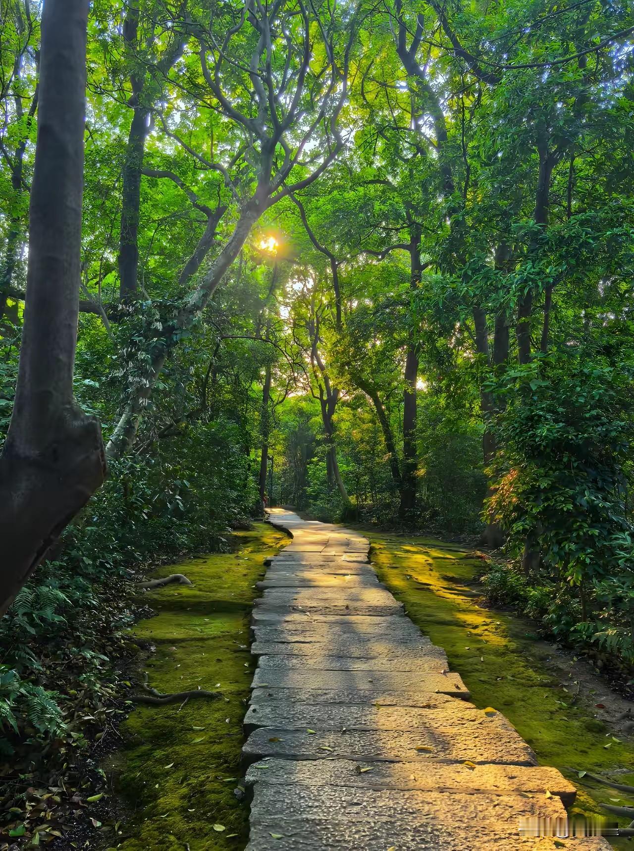今天重翻了一遍《围城》，有些不一样的感受，拿出来聊一聊，也许说的不对，见仁见智。