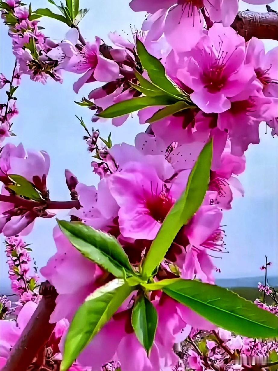 是不是只有我一个人这么觉得，
终有一天，你会静下心来，
坦然接受自己平凡的一生，