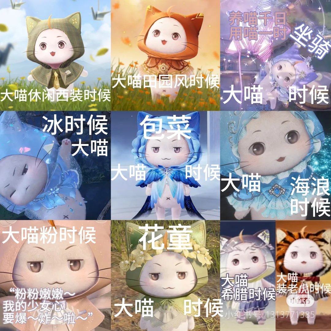 恭喜搭配师解锁隐藏玩法——百变小胖咪 