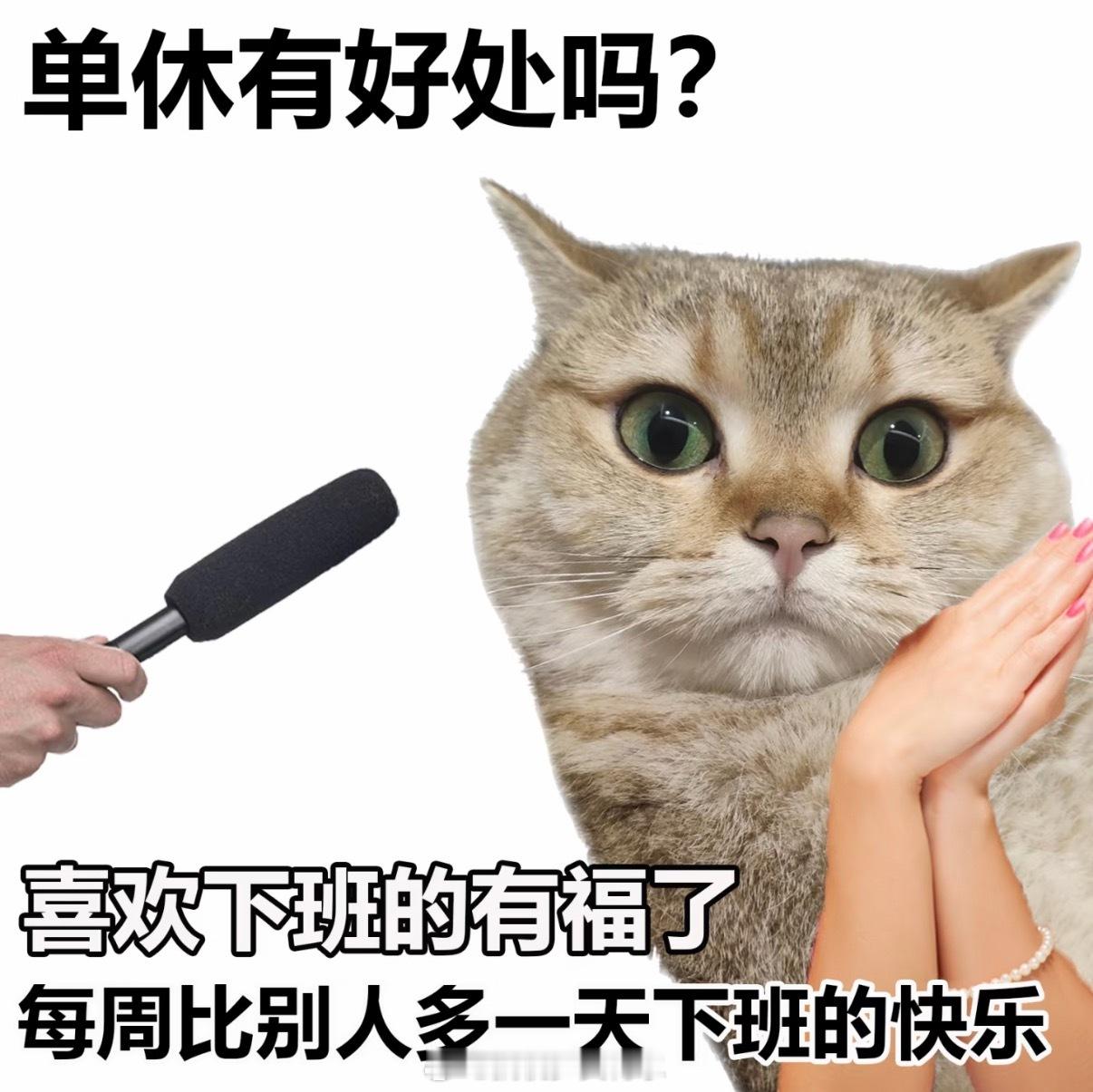 单休还有优点？？根本不存在法定节假日硬要说就是周末被浪费了，周一周二还在痛苦上班