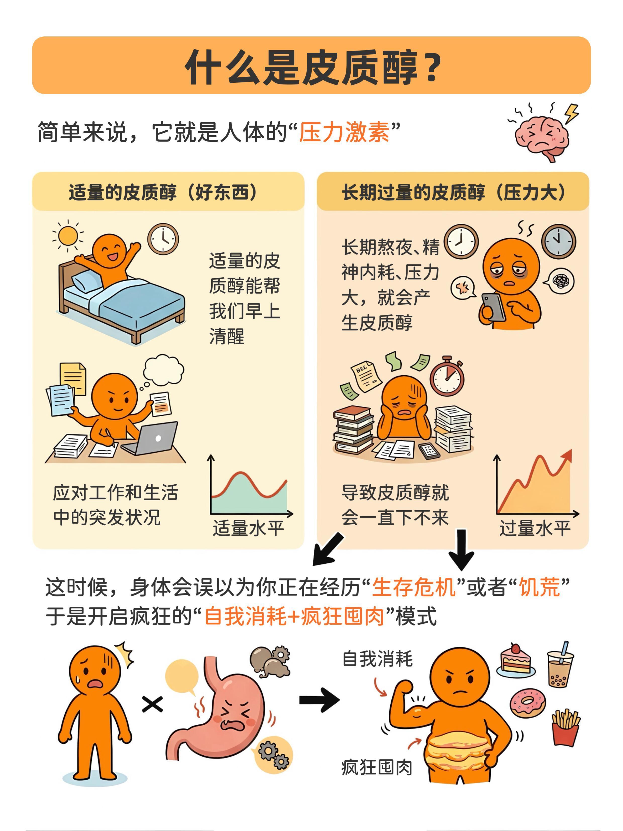 睡前代谢皮质醇流程睡前降低皮质醇，能帮你睡得更深、加速燃脂修复、延缓皮肤老化，还