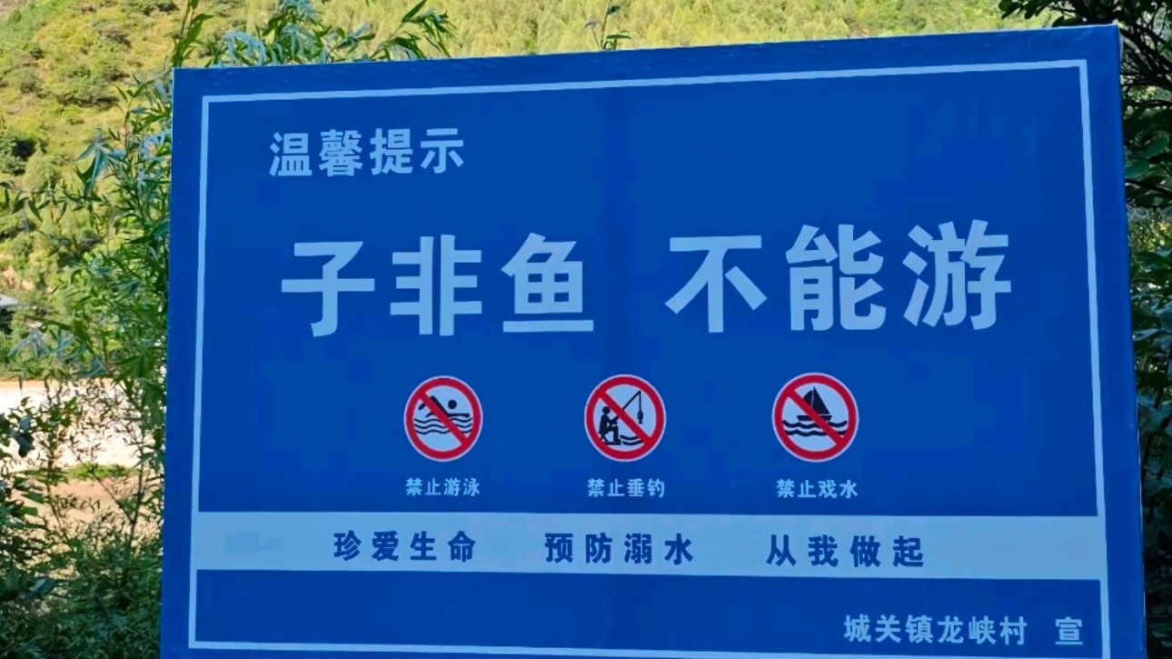 子非鱼 不能游吾姓罗 罗非鱼 能游
