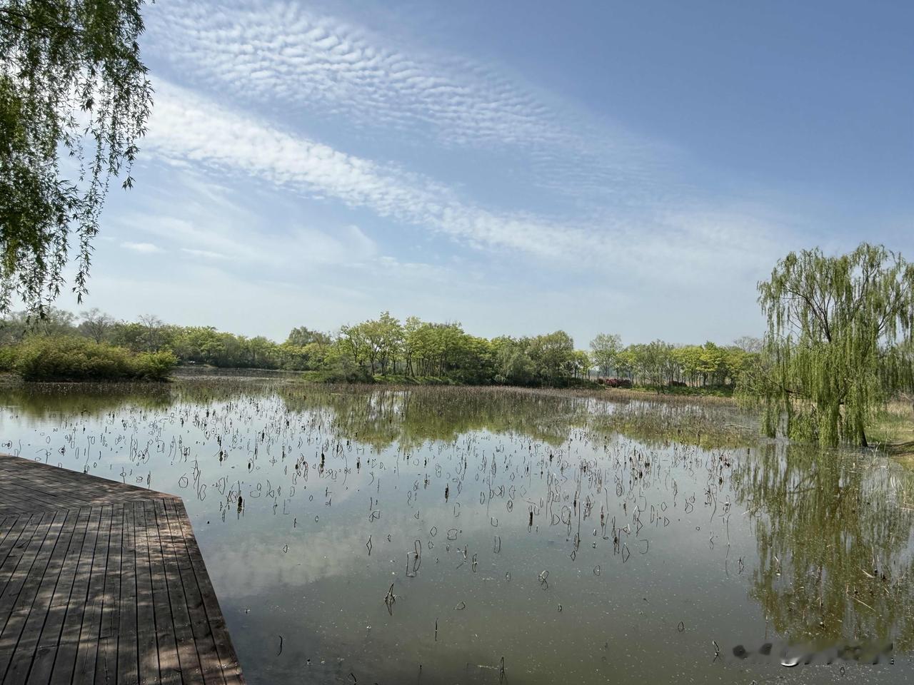 【小对联】
上：……？
下：快刀。