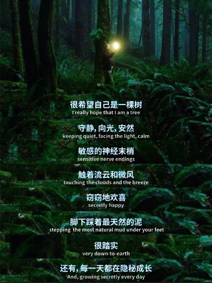 希望自己是一棵树🌳