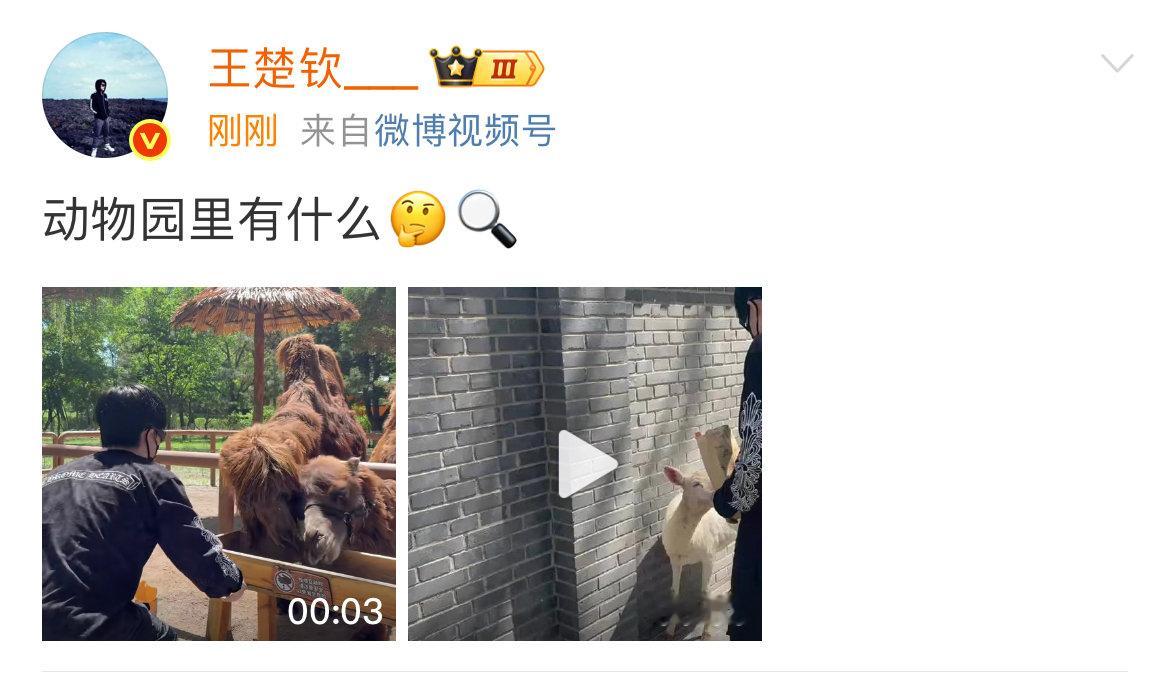 王楚钦去动物园了王楚钦动物园里有什么 ​​​