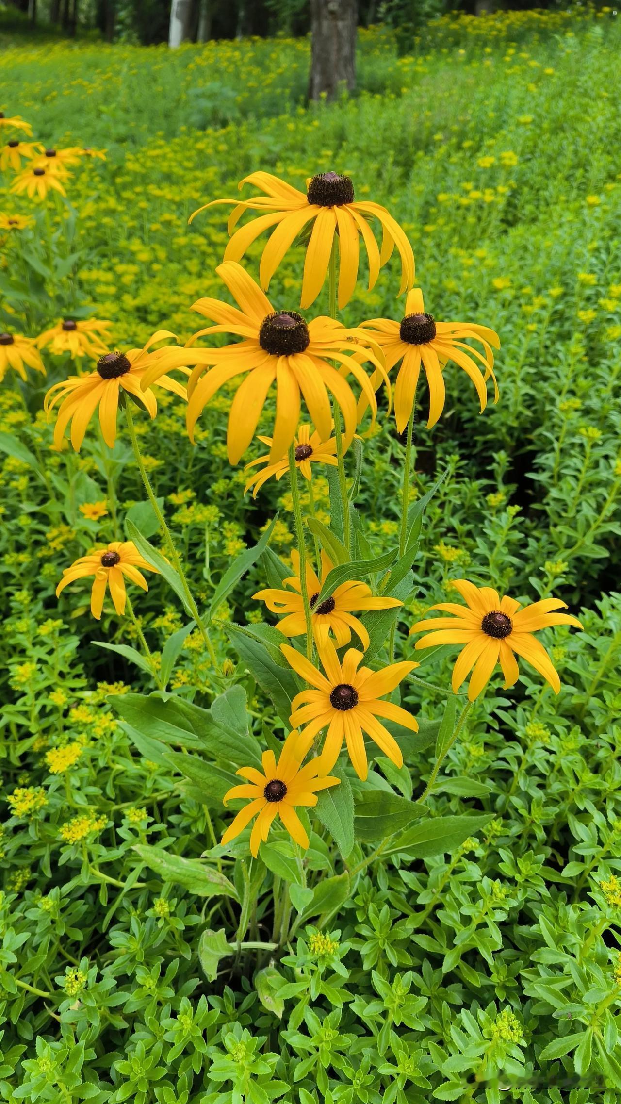 周三沪深两市低开高走。早盘三大指数全线出现小幅低开，随后短暂冲高后出现冲高回落。