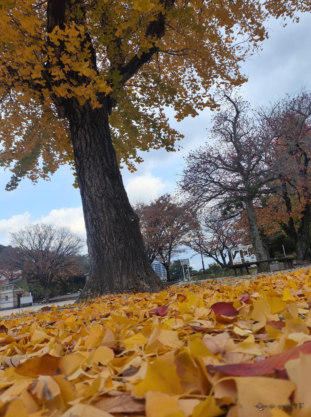 我们家二十多年前也讨论过这个问题。结论是孩子送保育院，两个人继续工作，他送我接，