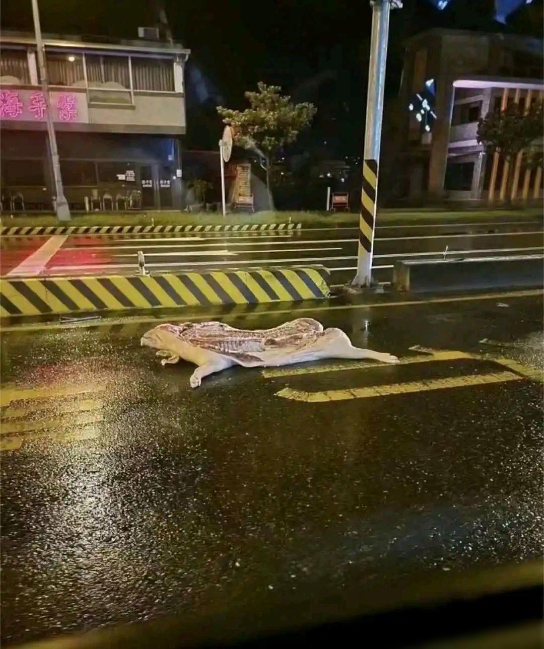 现在的人素质真是不怎么样，居然总是在大街上随手丢东西。我看到一地的垃圾，拾是不拾