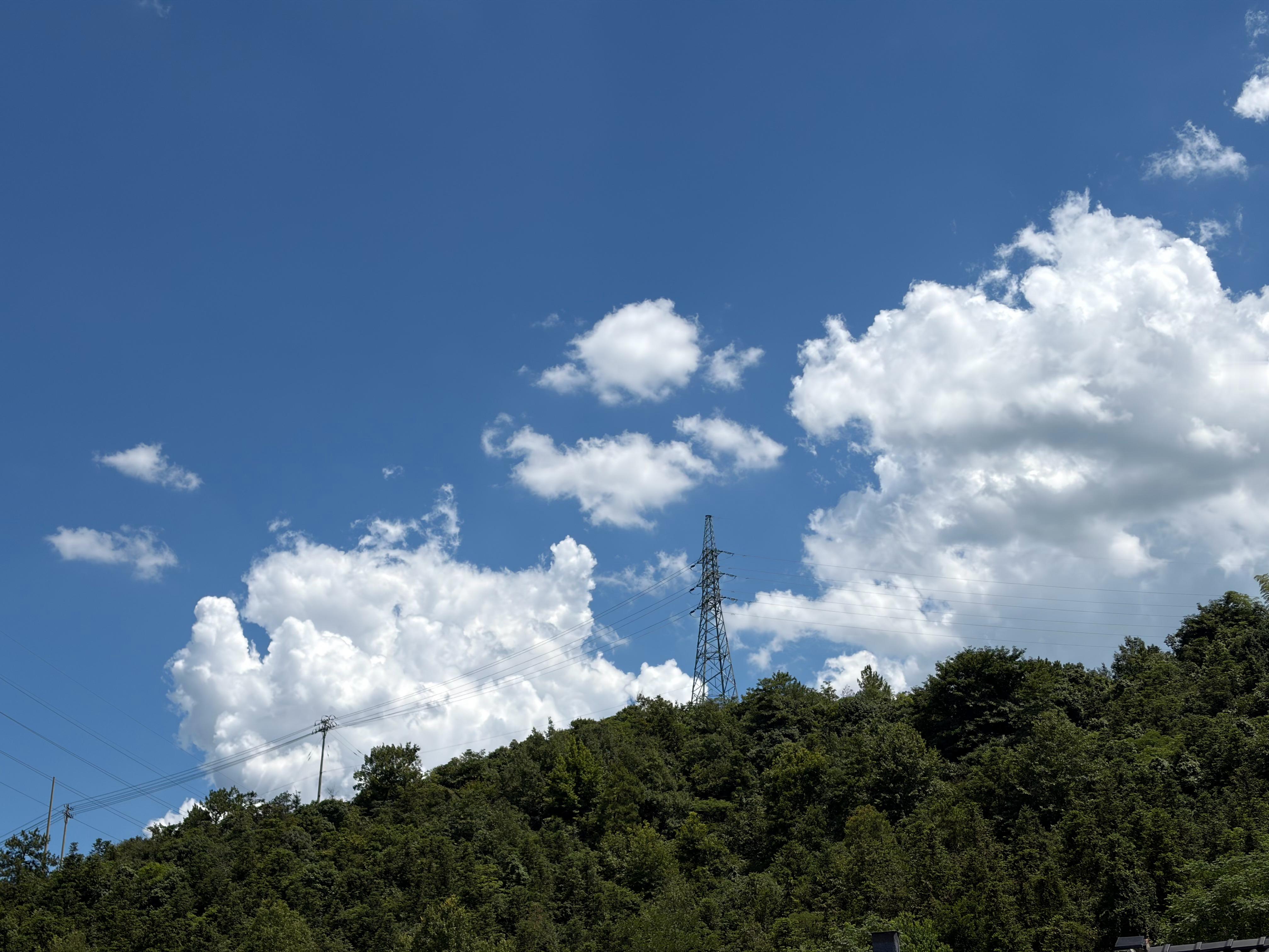 热热热 
