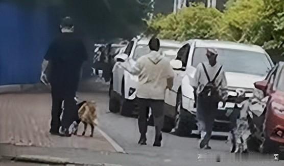 狂犬病是一种极危险的传染病，人一旦感染了狂犬病毒发作了，死亡率几乎是100%，这