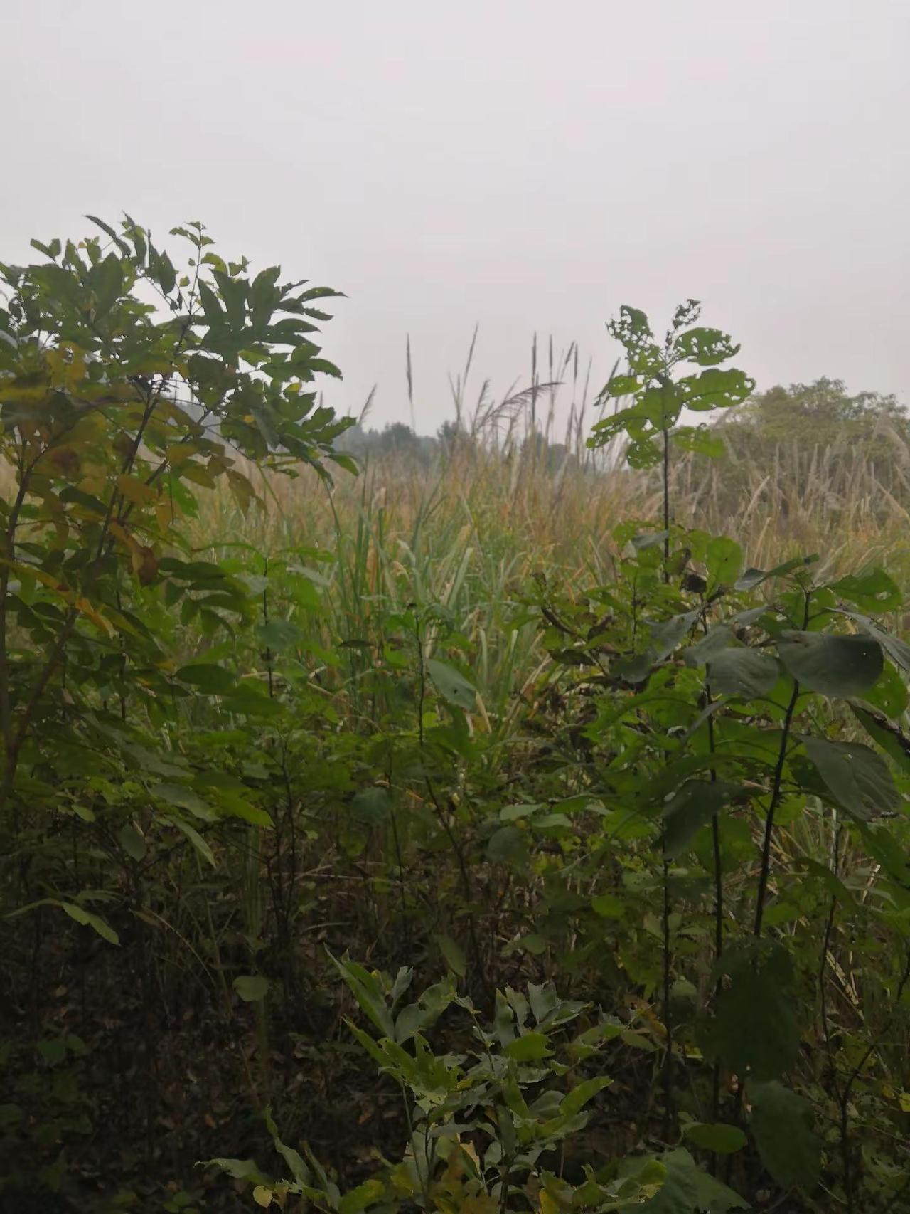 农村生活日常 乡村生活 农村生活的视频 农村日常生活 在农村生活