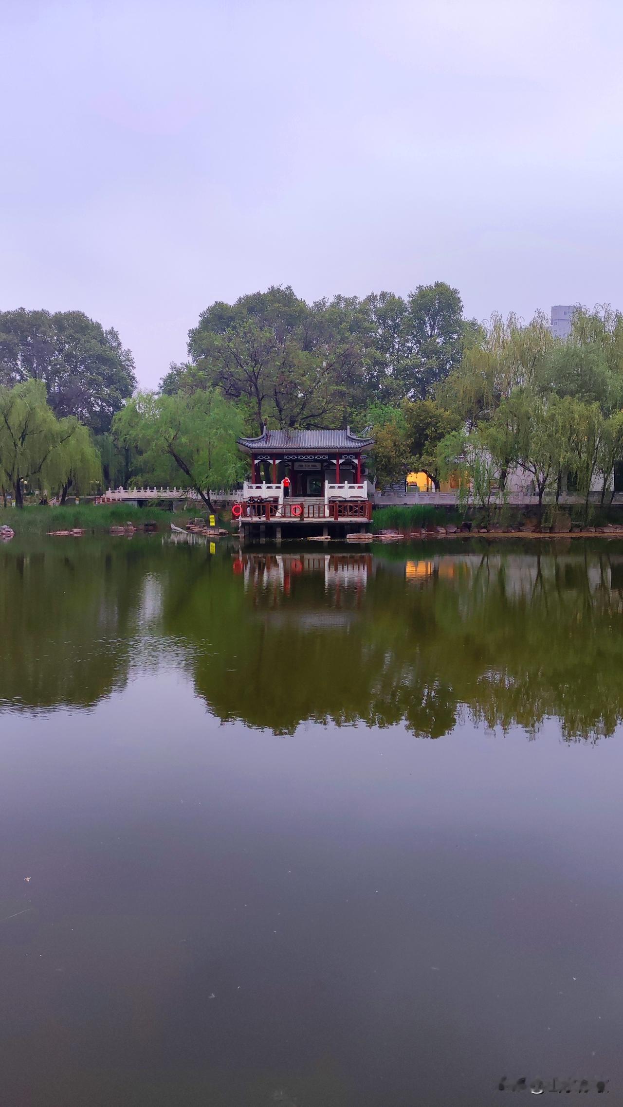 又到了“听取蛙声一片”的季节，小区池塘里的雄蛙没日没夜的嘶吼着，他们想趁着这美好