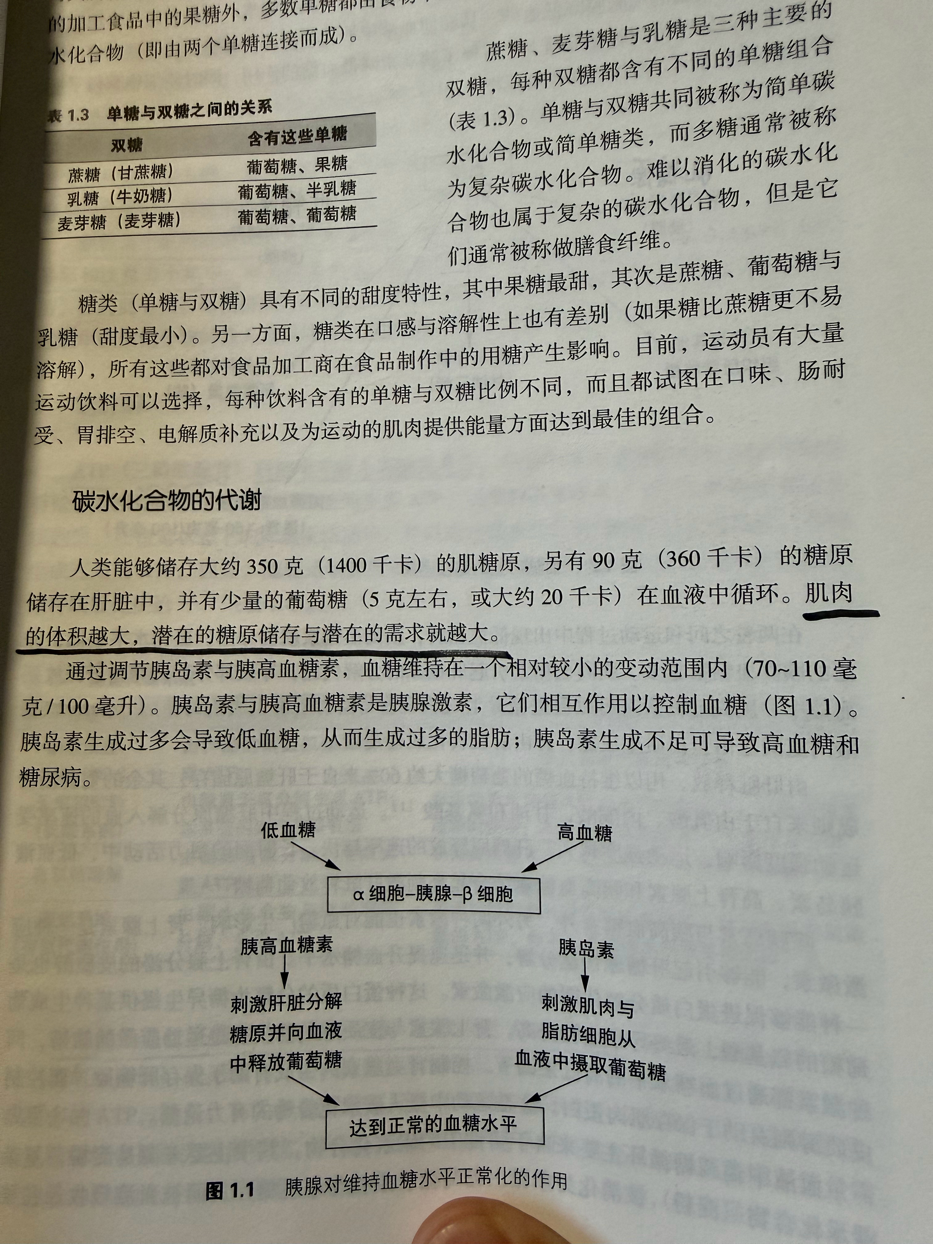 这应该就是网球等职业运动员拒绝生酮饮食的原因～ 