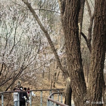 关于遗憾抽屉里有只没送出去的戒指，盒子都磨旧了。你时不时把它打开看一眼，然后合上