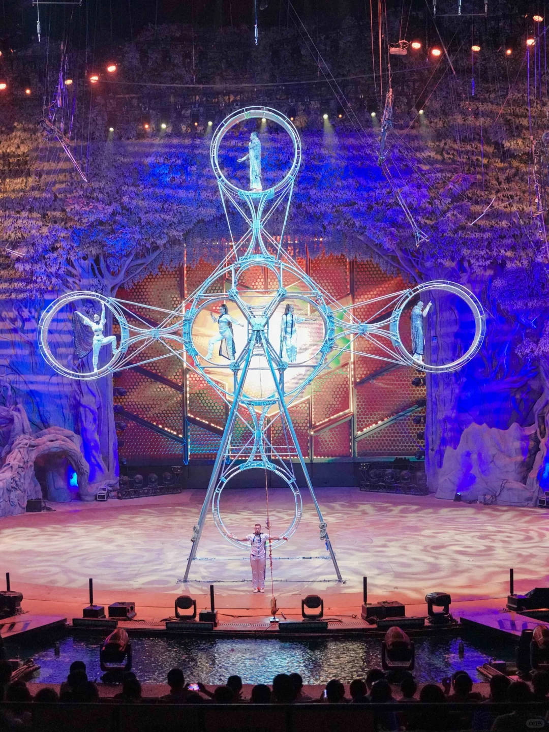 广州旅行❤️花几百块看长隆大马戏值得吗❗