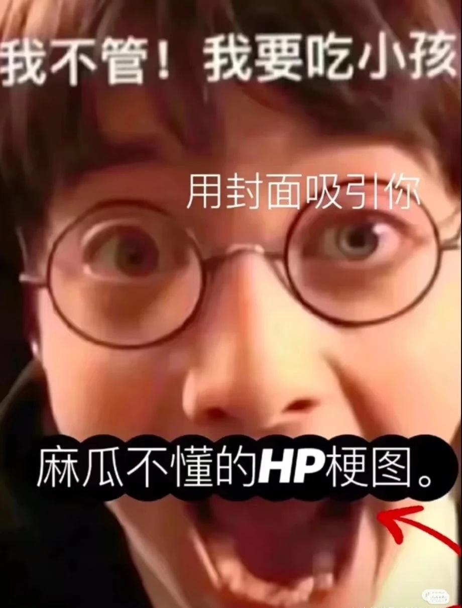 Hp梗图
哈利波特 哈迷 梗图 此图有梗 本人精神状态 无刀放心食用