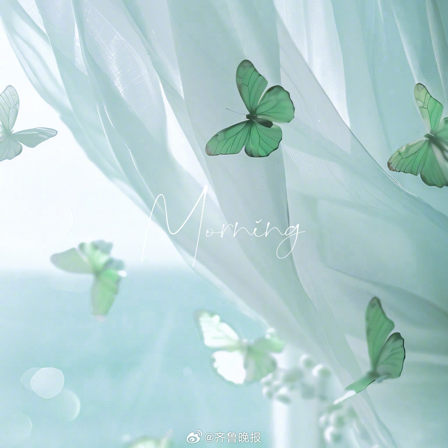 快乐和享受有时候不需要那么奢侈可以来自微小的事物[太阳]#早安# ​​​