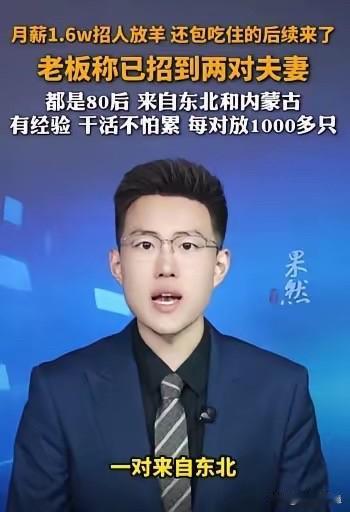 还记得那个16000元招聘放羊的新闻吗，两对夫妻已经上岗了，全都有放牧经验，每对