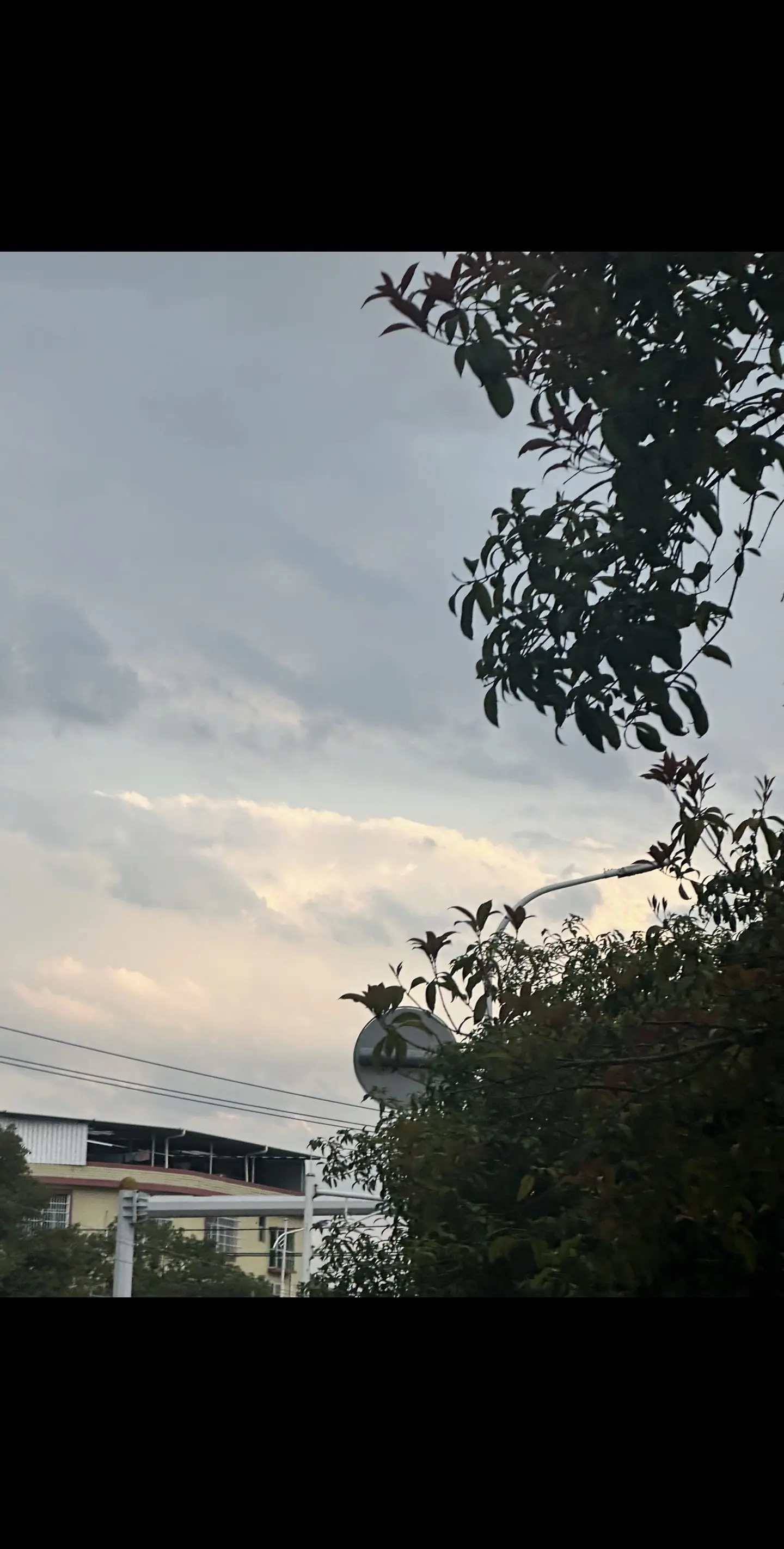 《是悄悄心动》by橙子甜 双向奔赴小甜饼！年龄差+身高差！乖巧甜妹VS痞帅爹系大佬！女主从大城市来到小县城，搬进了男主家的院子里。男主一眼就认出了女主是小时候给他糖的人，开始超级直接的宠女主。女主受伤了会被男主背回家摸摸头，不开心了会被男主塞糖安慰，女主也很懂事，在男主创业初期鼓励男主，双向暗恋双向奔赴真的太爱了！因为一些原因两人分开，久别重逢后男主事业有成，开始疯狂追妻，死缠烂打，真的超级甜！
