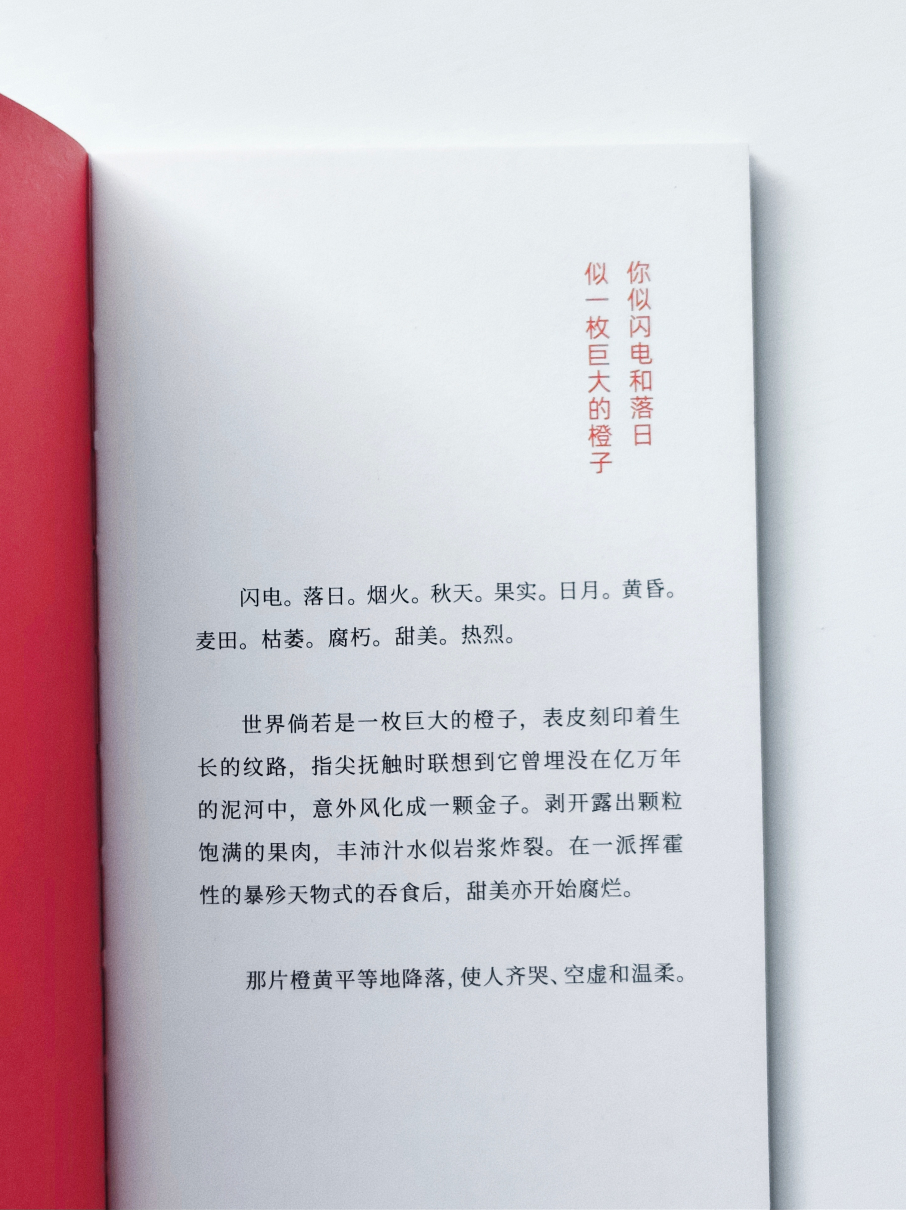 那片橙黄平等地降落，使人齐哭、空虚和温柔。梵范 | 你似闪电和落日 似一枚巨大的