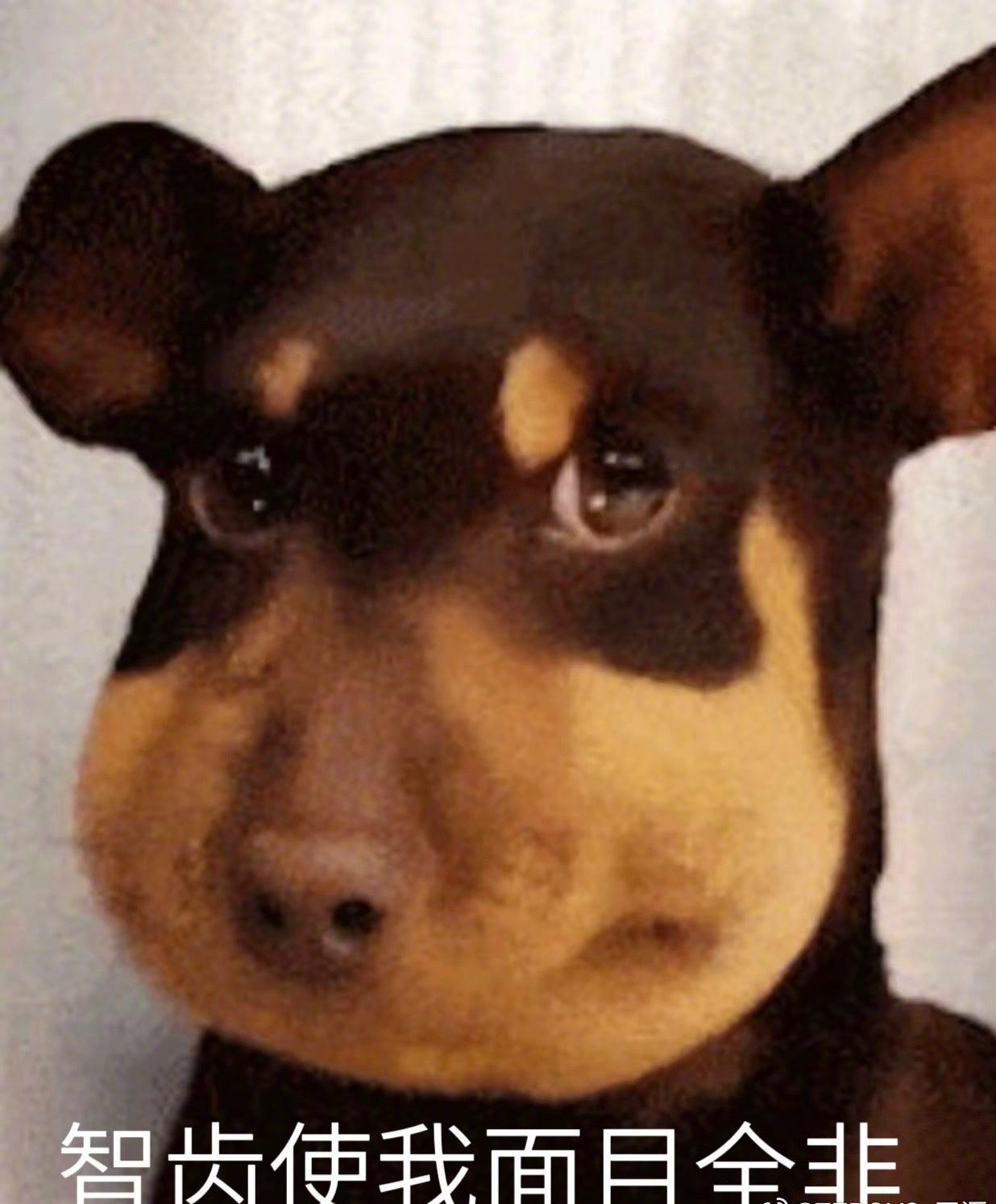 天知道我今晚对着这张照片笑了多少次[泪奔] ​​​