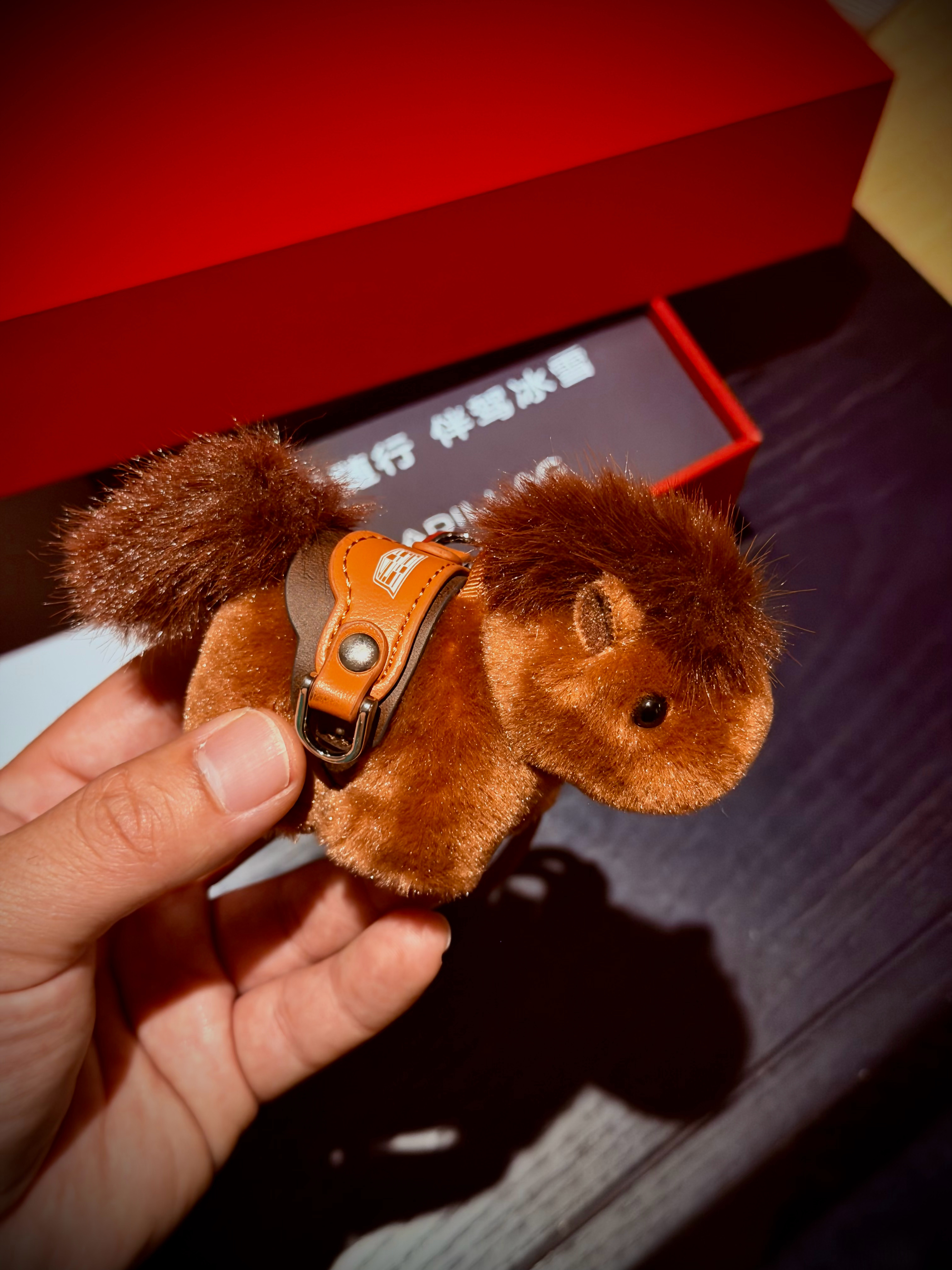 又收到一匹小马🦄 呼伦贝尔