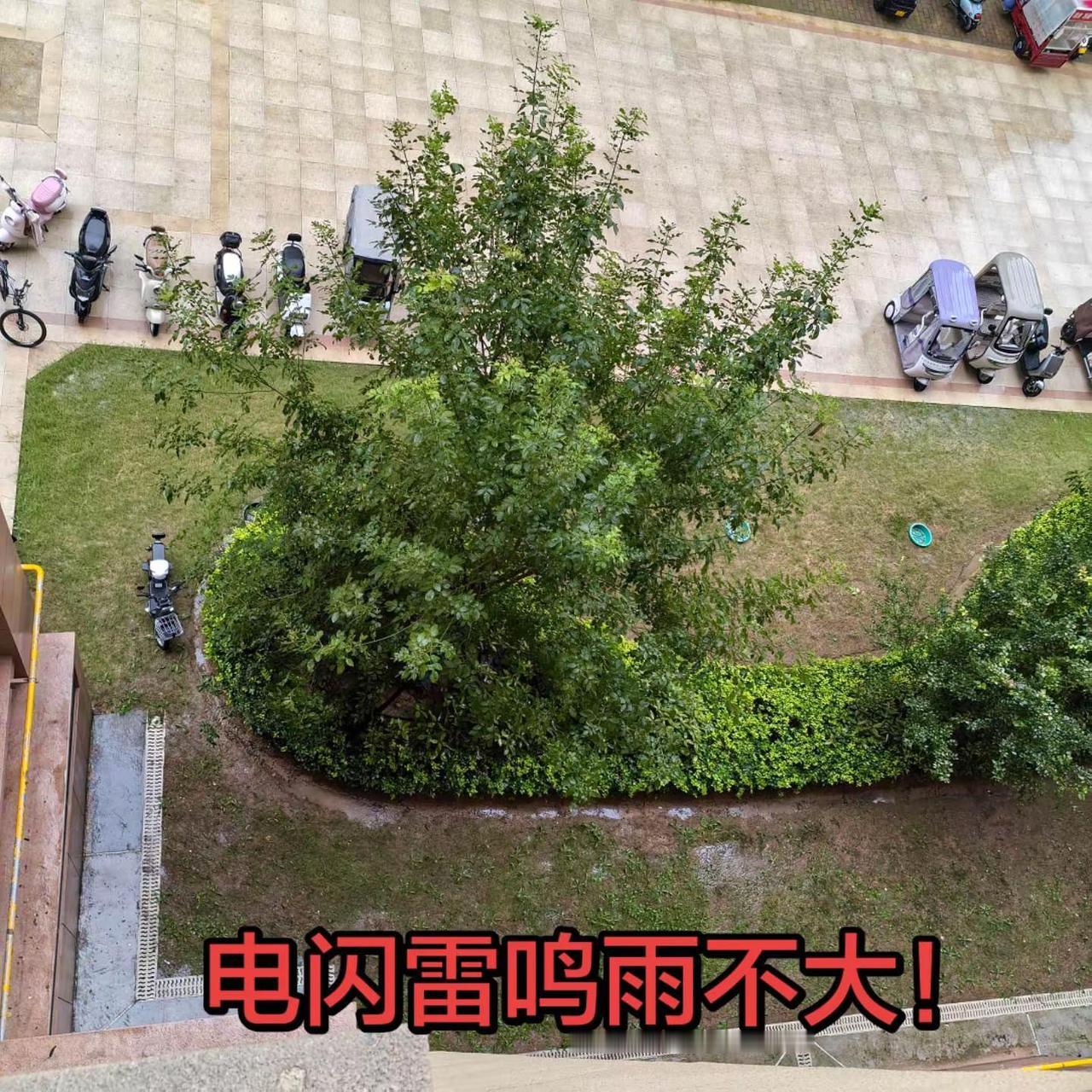 从昨晚都开始电闪雷鸣，但是雨下的并不大！