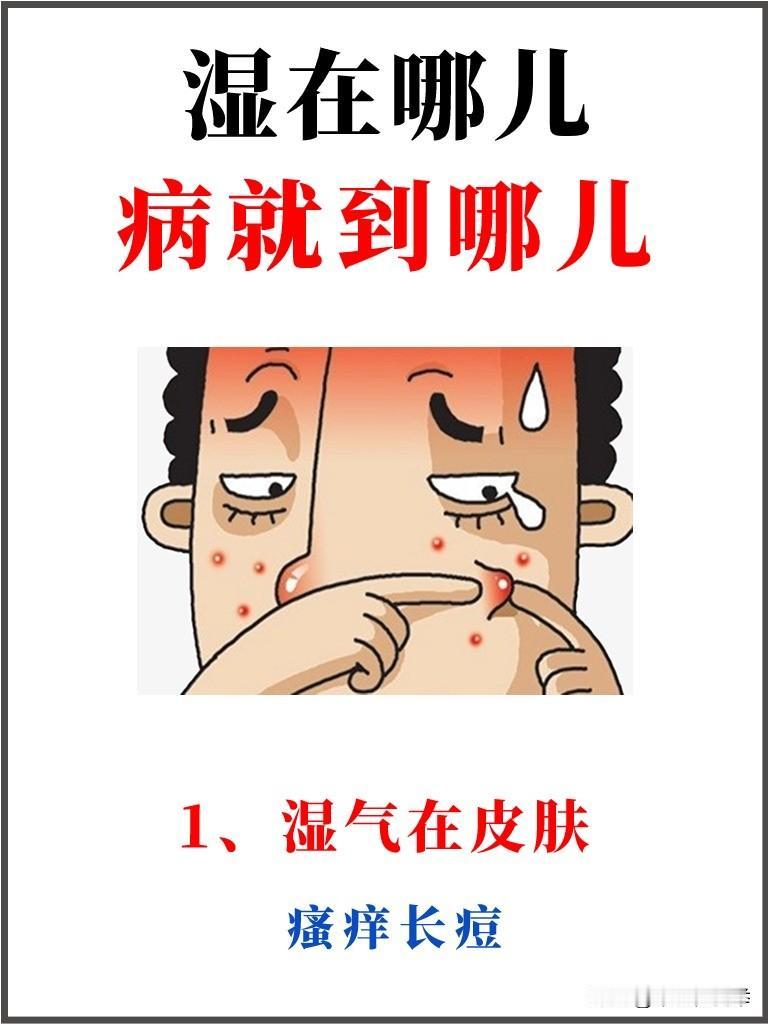 湿在哪，病就到哪，在皮肤、在血管、在骨骼、在肺都有什么症状，一次讲清

#中医#