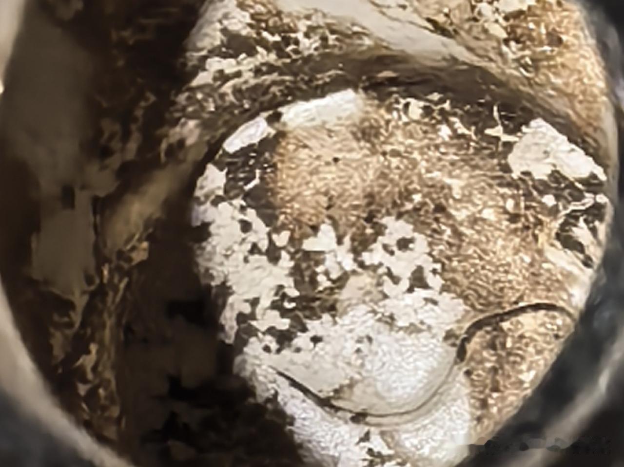 瓷器里的真正蚯蚓走泥纹！你见过吗？
闲的没事时研究一件瓷器时，突然发现瓷器内部有