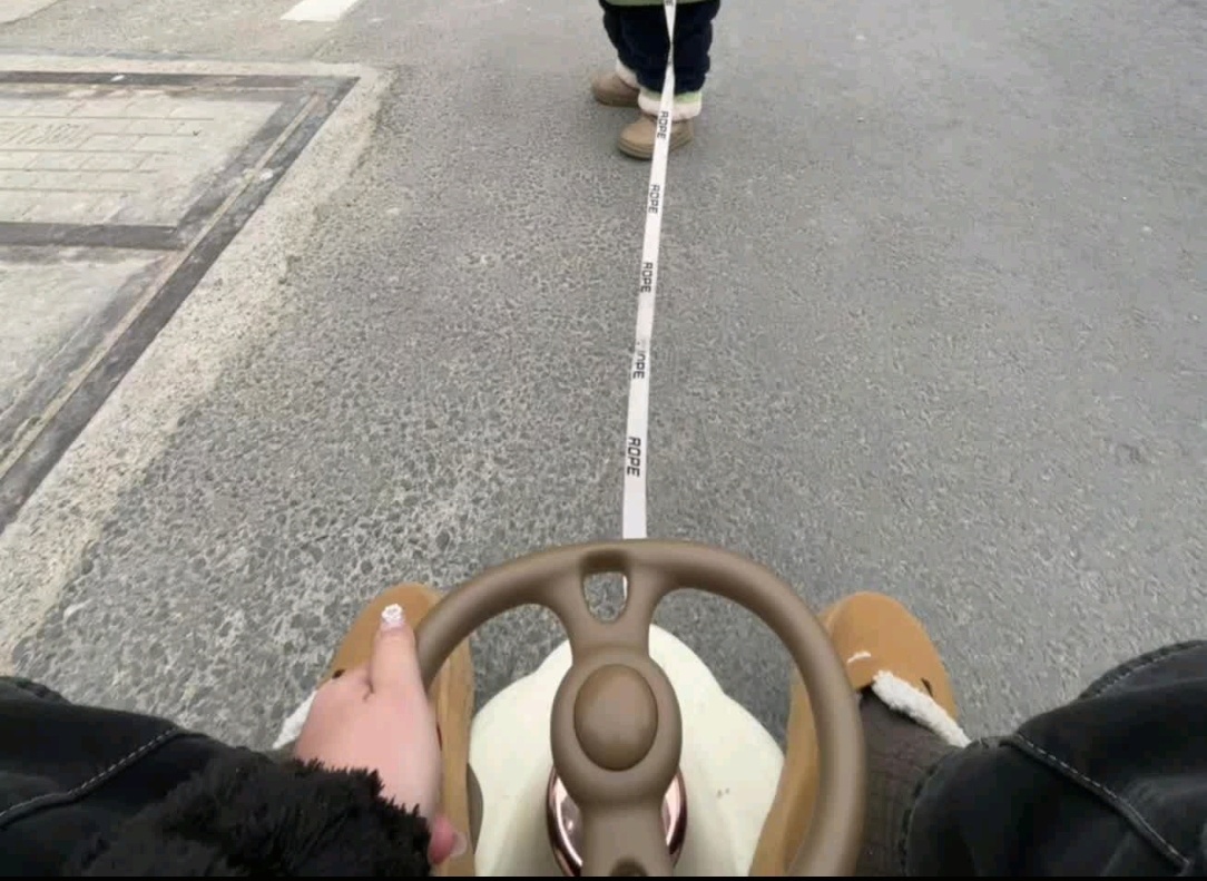 大学生寒假的交通工具belike不用抢票也不用担心没电没油甚至还不用自己开寒假不