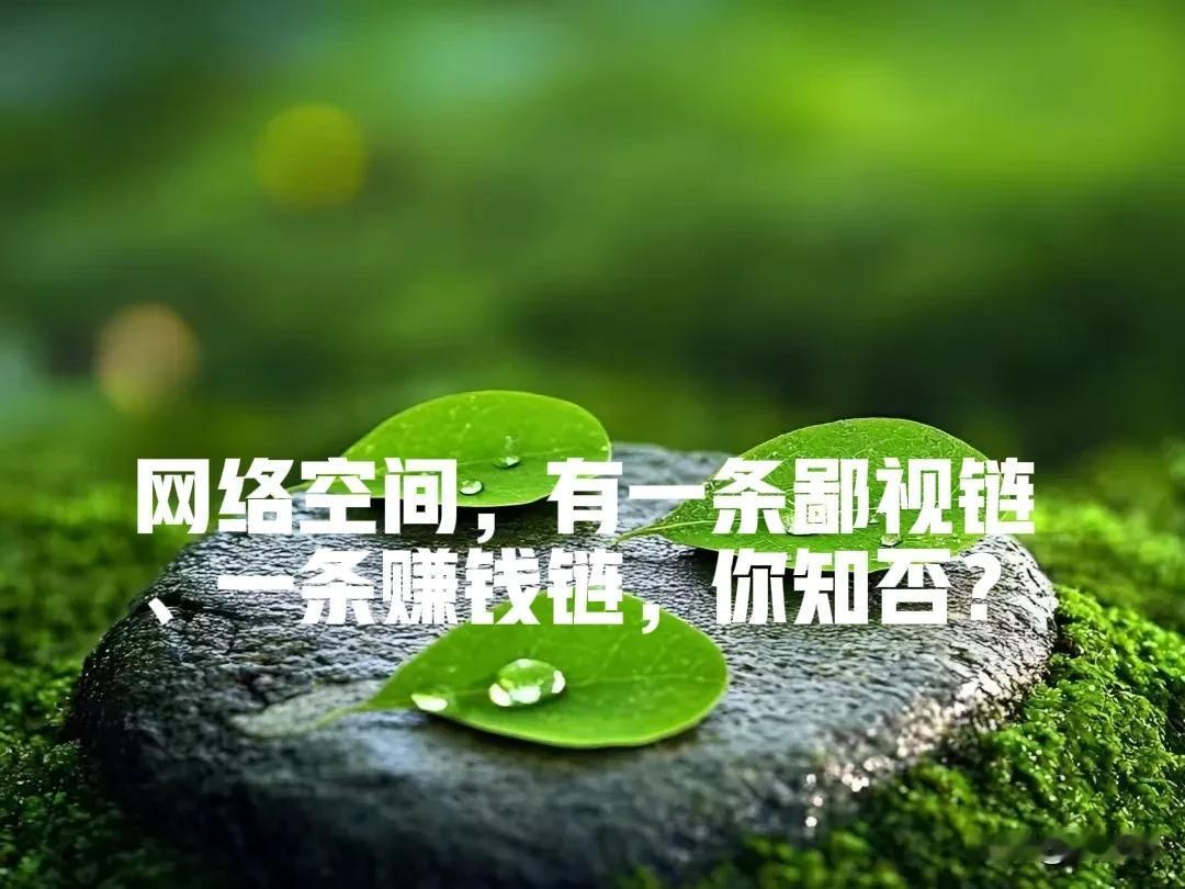 网络空间，有个鄙视链：
网络名人看不起网络大V，
网络大V看不起网络红人，
网络