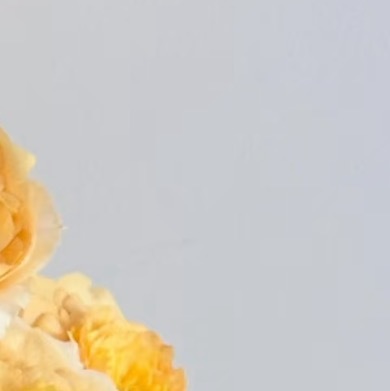 0000多头艾菲种植1.光照：每日需不少于6小时直射光照，光照不足则花量减少、花