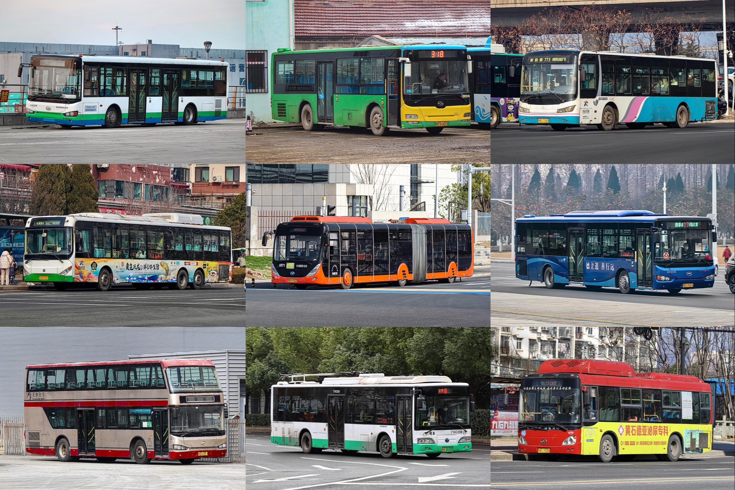 九张图总结我的2024🫰🏻 愿2025更精彩