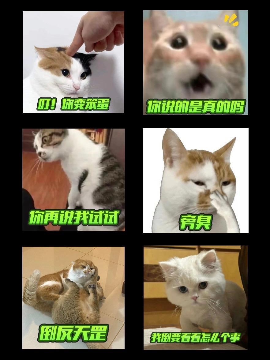 叮！你变笨蛋！创作灵感