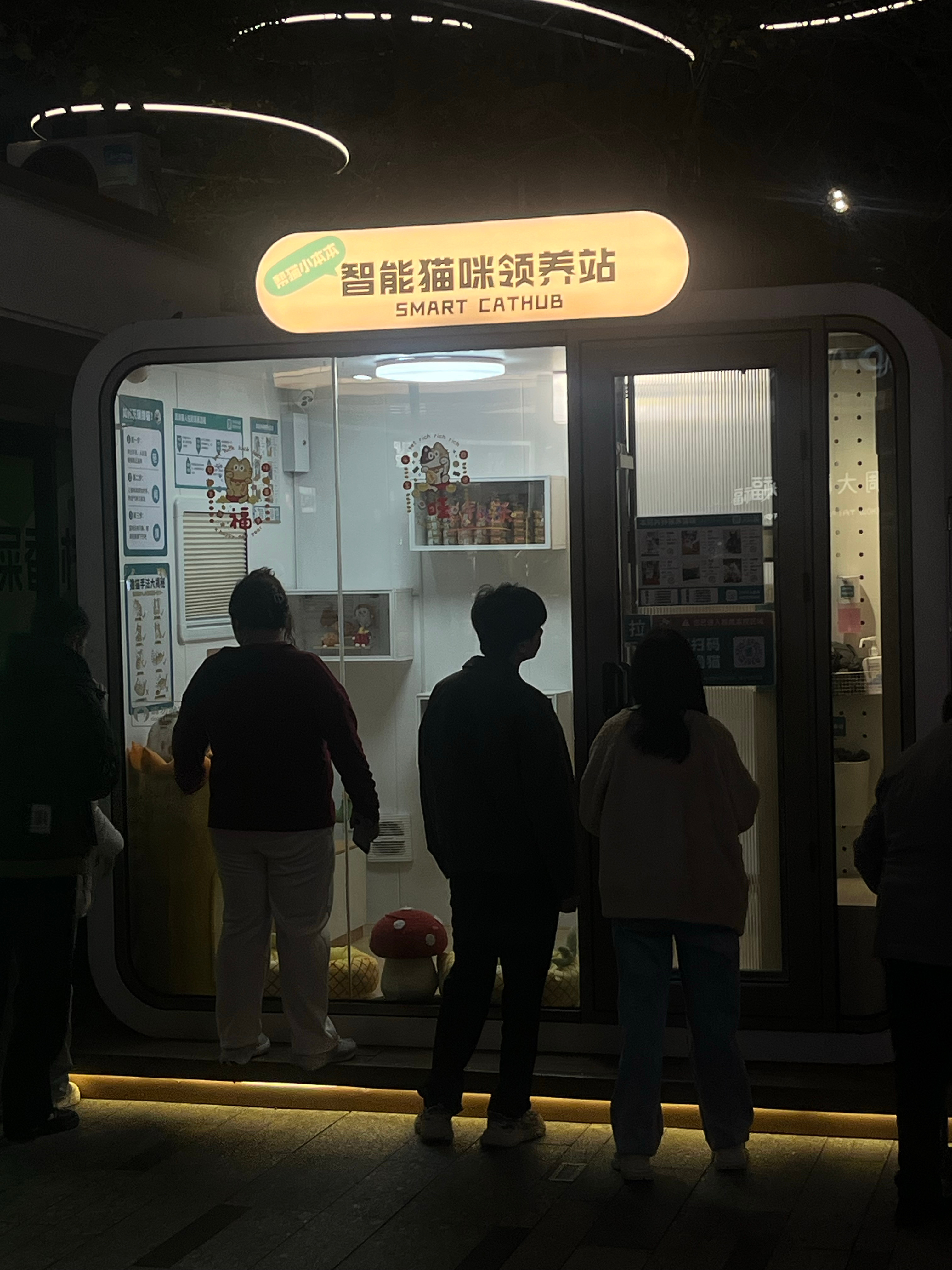 现在领养猫都这么先进了？还智能猫咪领养站 扫个码就可以进去领养猫了？有人领养过吗