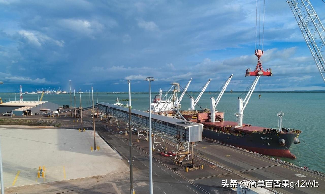 2026年刚开年，世界几个关键港口就接连出现争端，时间实在太巧。

达尔文港合同