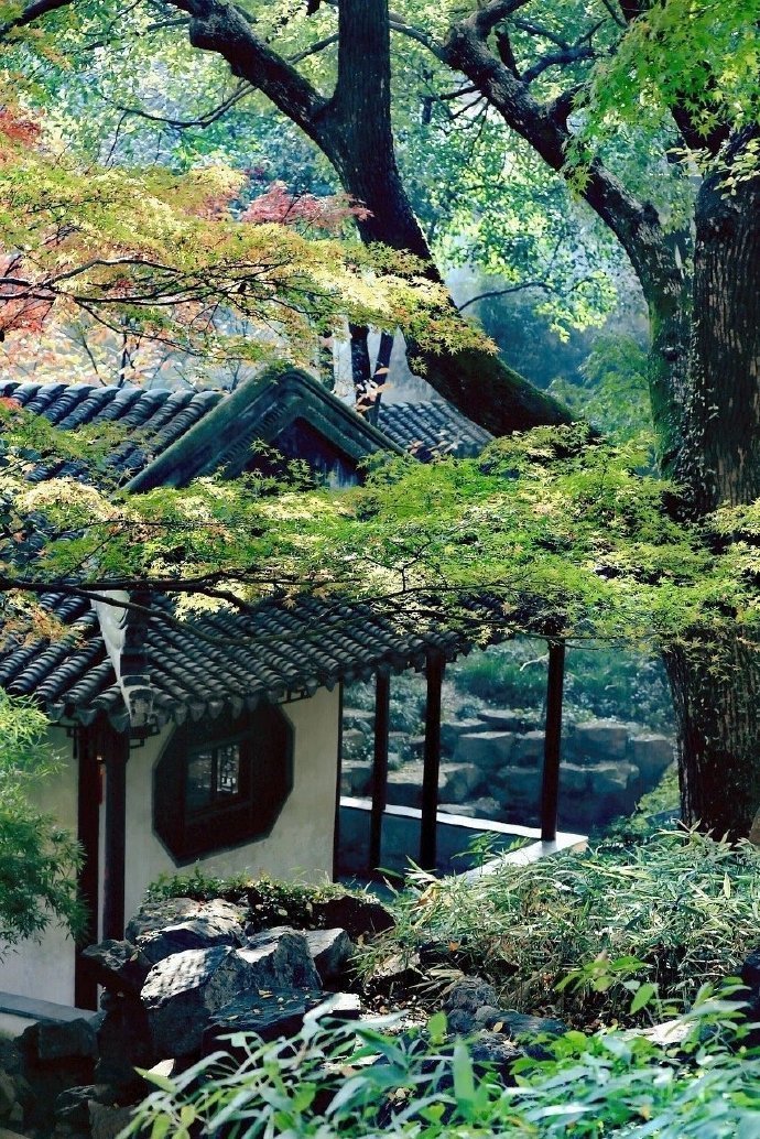 苏州园林是最温婉的江南气息，诗情画意，好生惬意！爱旅游